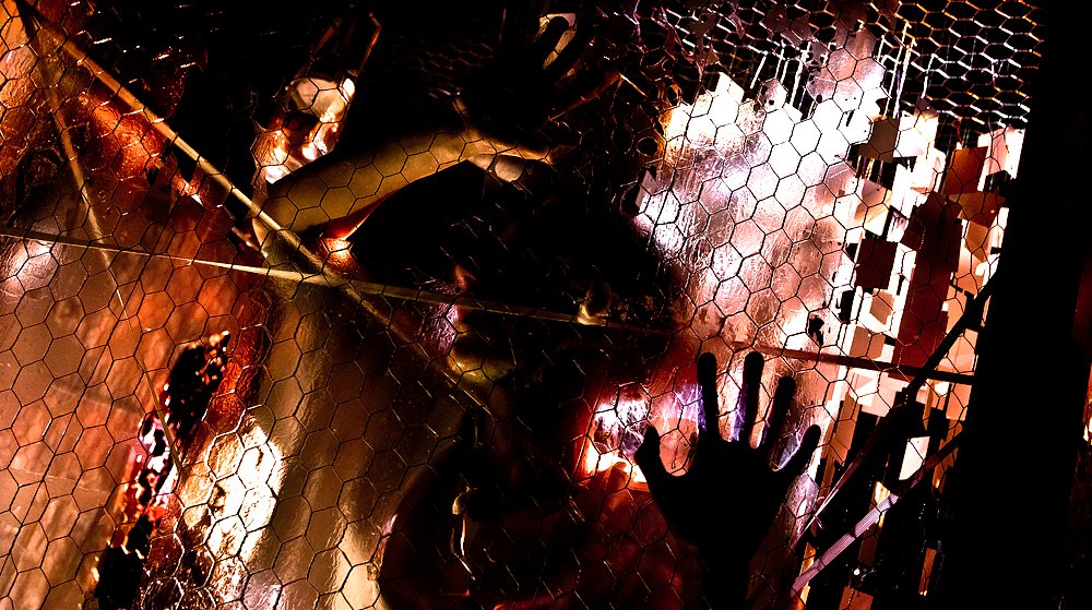 Kokon. Metamorphose.