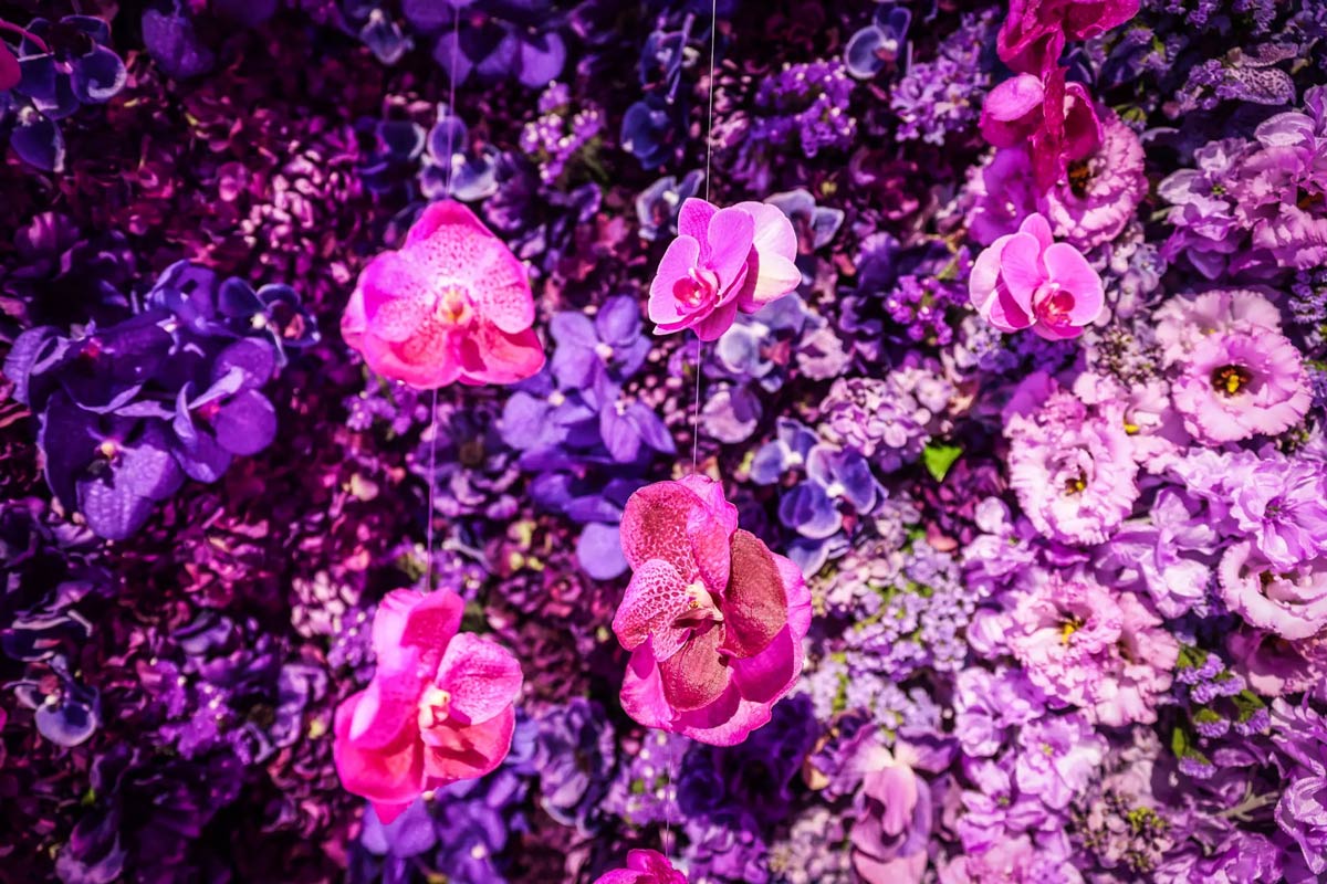 full-sensory-experience_battle-royal-studios_joern-pollex_1